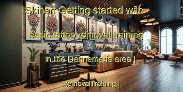 Skinart Getting started with basic tattoo removal training in the Dannemarie area | RemovalTraining | RemovalClasses | SkinartTraining-France